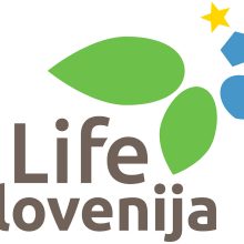 LIFE Krepitev zmogljivosti 2, Ministrstvo za okolje, podnebje in energijo